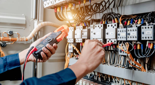 Best Ceiling Fan Installation Electrician  in Eagle Lake, WI
